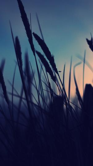 Nature14.png 2017 HD Wallpapers