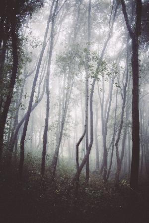 Nature15.jpg 2017 HD Wallpapers