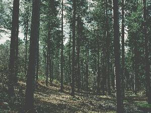 Nature17.jpg 2017 HD Wallpapers