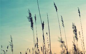 Nature18.jpg 2017 HD Wallpapers