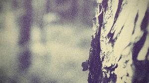 Nature20.jpg 2017 HD Wallpapers