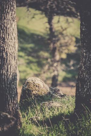 Nature22.jpg 2017 HD Wallpapers