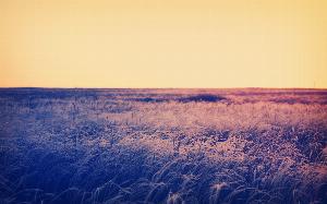 Nature25.jpg 2017 HD Wallpapers