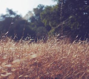 Nature28.jpg 2017 HD Wallpapers