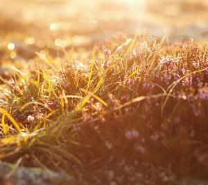 Nature30.jpg 2017 HD Wallpapers