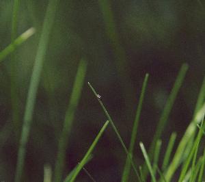 Nature31.jpg 2017 HD Wallpapers