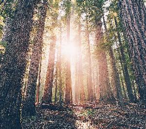 Nature36.jpg 2017 HD Wallpapers