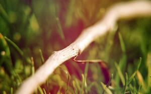 Nature4.jpg 2017 HD Wallpapers