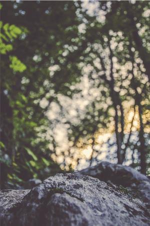 Nature9.jpg 2017 HD Wallpapers