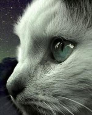 0001Abstract.jpg Abstract