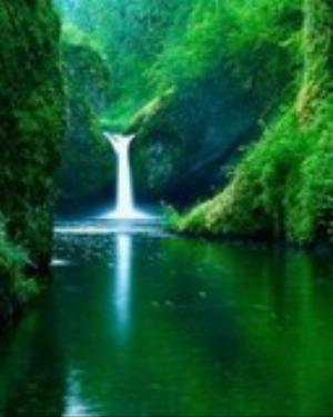 0099nature.jpg Abstract