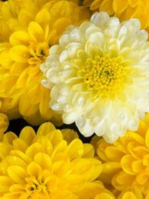 Gaisma_(21).jpg Abstract