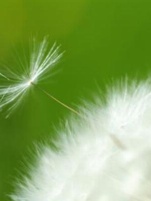 Gaisma_(23).jpg Abstract