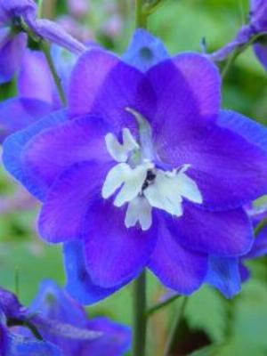 Gaisma_(26).jpg Abstract