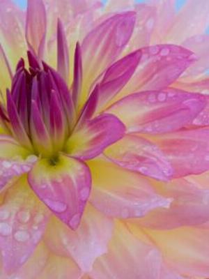 Gaisma_(29).jpg Abstract