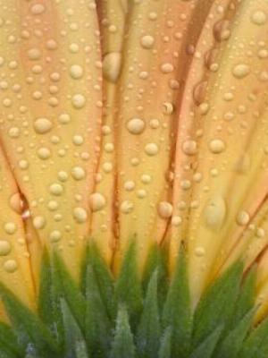 Gaisma_(35).jpg Abstract