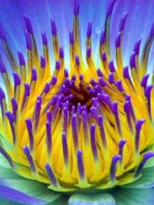 Gaisma_(37).jpg Abstract