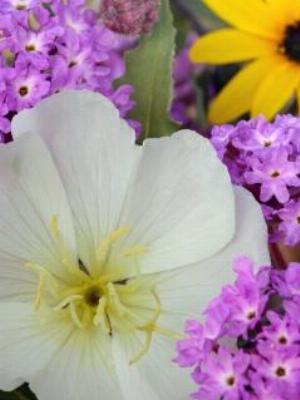 Gaisma_(40).jpg Abstract