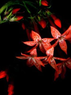 Gaisma_(46).jpg Abstract