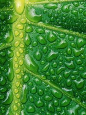 Gaisma_(49).jpg Abstract