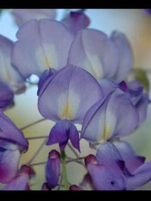 Gaisma_(80).jpg Abstract