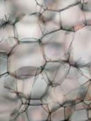 0020amaze.jpg Amazing