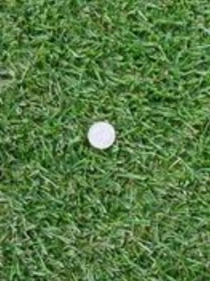 0036amaze.jpg Amazing