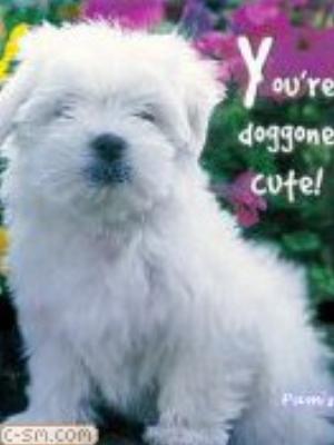 0011jeromobi.jpg Animals