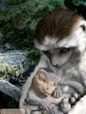 0014jeromobi.jpg Animals