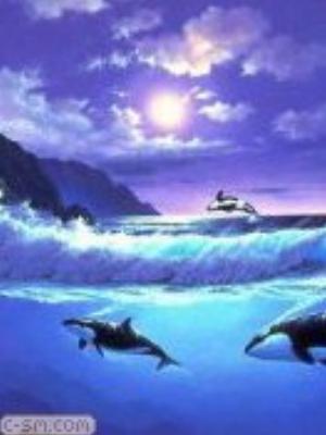 0015jeromobi.jpg Animals