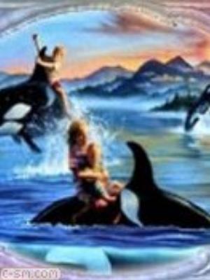 0017jeromobi.jpg Animals