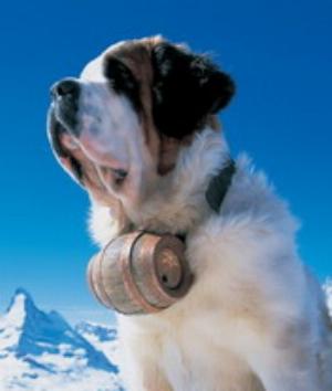 00231Animals.jpg Animals