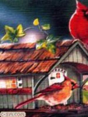 0024jeromobi.jpg Animals