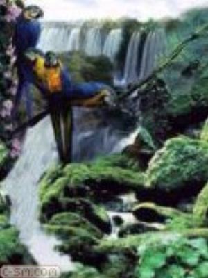 0026jeromobi.jpg Animals