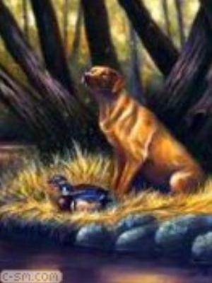 0030jeromobi.jpg Animals