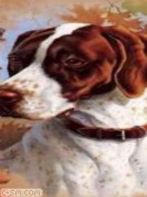 0031jeromobi.jpg Animals