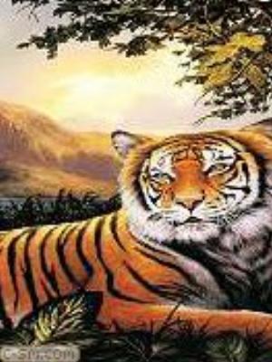 0033jeromobi.jpg Animals