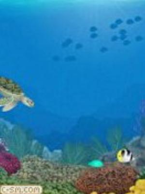 0038jeromobi.jpg Animals