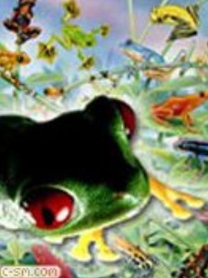 0042jeromobi.jpg Animals