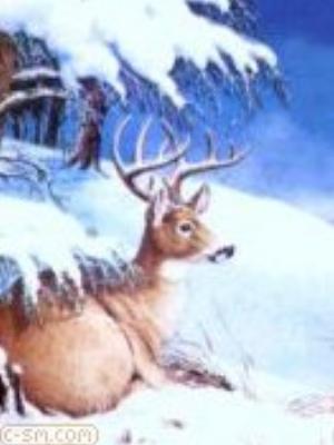 0043jeromobi.jpg Animals