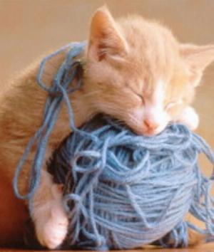 00461Animals.jpg Animals