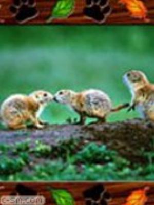 0046jeromobi.jpg Animals