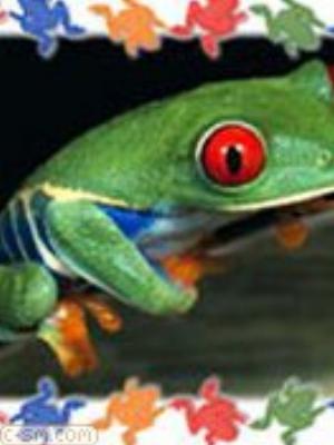 0047jeromobi.jpg Animals