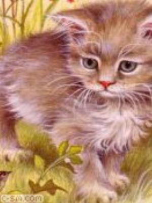 0053jeromobi.jpg Animals