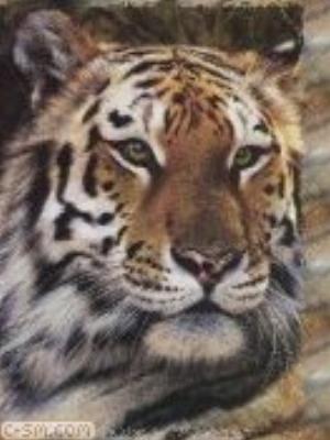 0060jeromobi.jpg Animals