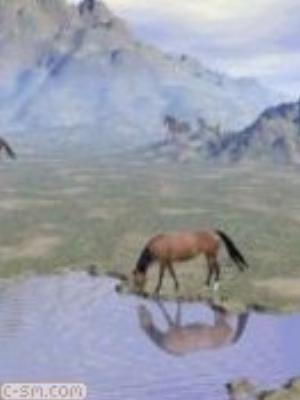 0061jeromobi.jpg Animals