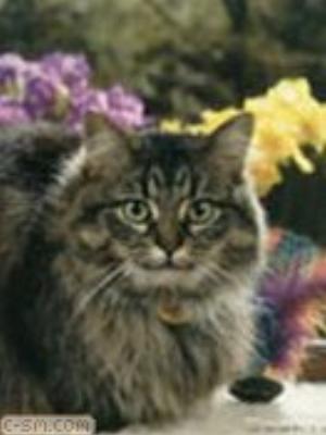 0068jeromobi.jpg Animals