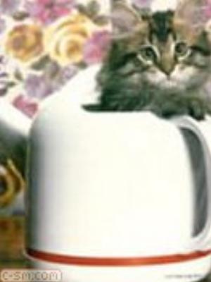 0077jeromobi.jpg Animals