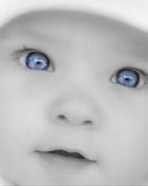 0005baby.jpg Babies