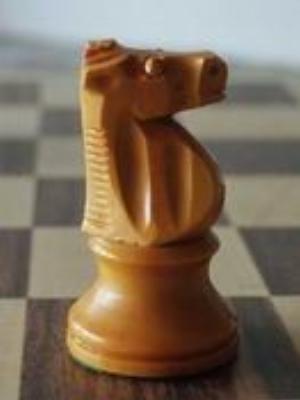 0006amaze.jpg Babies